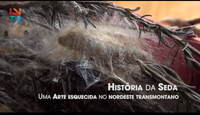 A História da Seda no Nordeste Trasmontano [Vídeo]